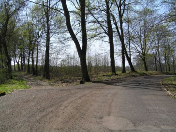 Działka Sprzedaż Dobra 3 Maja