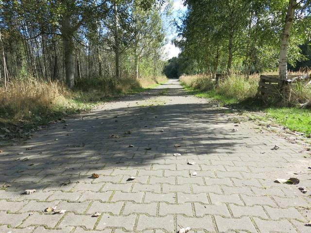 Działka Sprzedaż Grzepnica 12
