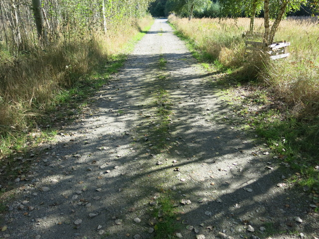 Działka Sprzedaż Grzepnica 11