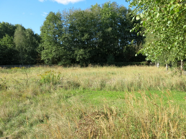 Działka Sprzedaż Grzepnica 1