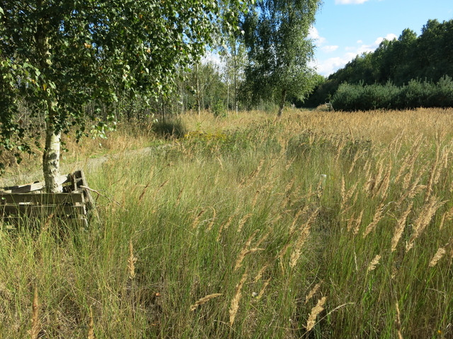 Działka Sprzedaż Grzepnica 4