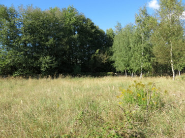 Działka Sprzedaż Grzepnica