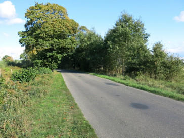 Działka Sprzedaż Grzepnica