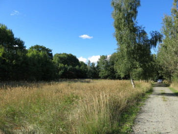 Działka Sprzedaż Grzepnica