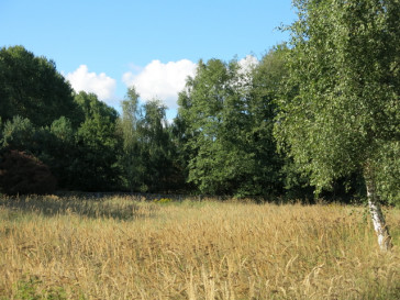 Działka Sprzedaż Grzepnica