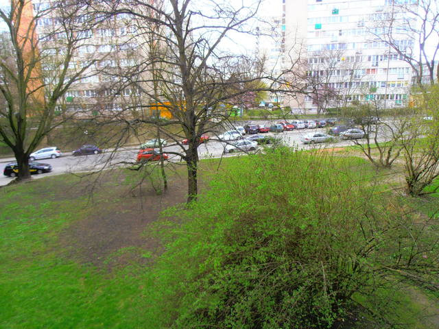 Mieszkanie Sprzedaż Szczecin Niebuszewo Heleny 17
