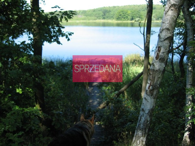 Działka Sprzedaż Ińsko 3