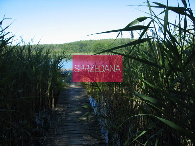 Działka Sprzedaż Ińsko 4
