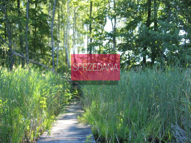 Działka Sprzedaż Ińsko 5