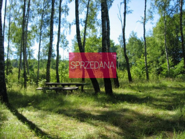 Działka Sprzedaż Ińsko