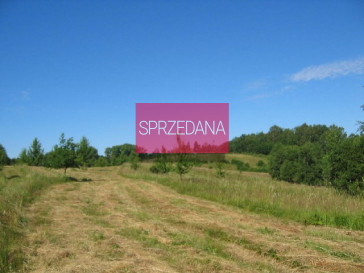 Działka Sprzedaż Ińsko
