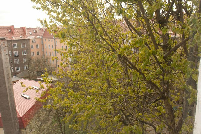 Mieszkanie Sprzedaż Szczecin Niebuszewo Elizy Orzeszkowej 17