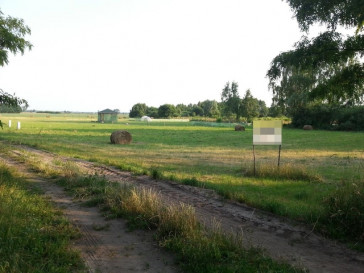 Działka Sprzedaż Lubczyna