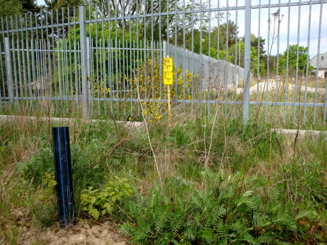 Działka Sprzedaż Bezrzecze 5