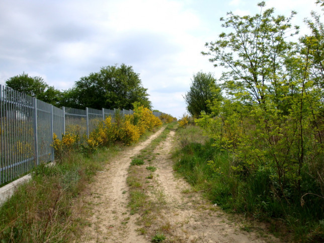 Działka Sprzedaż Bezrzecze 2