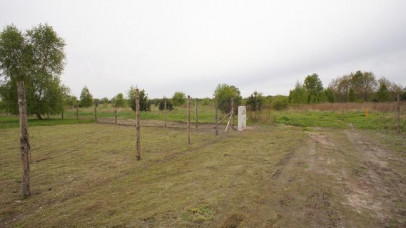 Działka Sprzedaż Rurzyca
