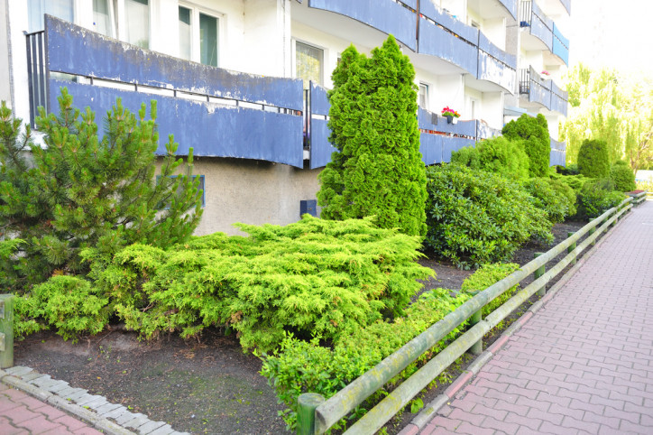 Lokal Wynajem Szczecin os. Zawadzkiego-Klonowica Tadeusza Zawadzkiego 16