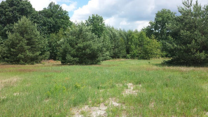 Działka Sprzedaż Rurzyca