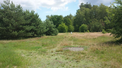 Działka Sprzedaż Rurzyca