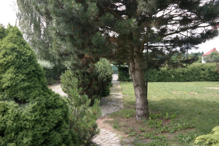Dom Sprzedaż Goleniów 5
