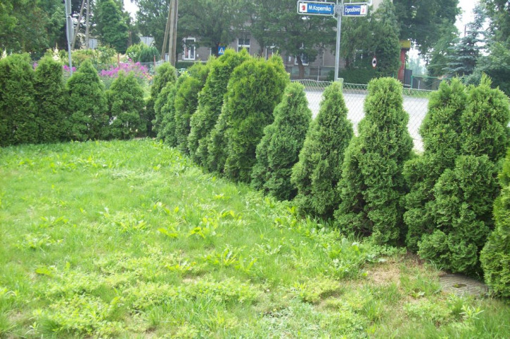 Dom Sprzedaż Police Mikołaja Kopernika 2