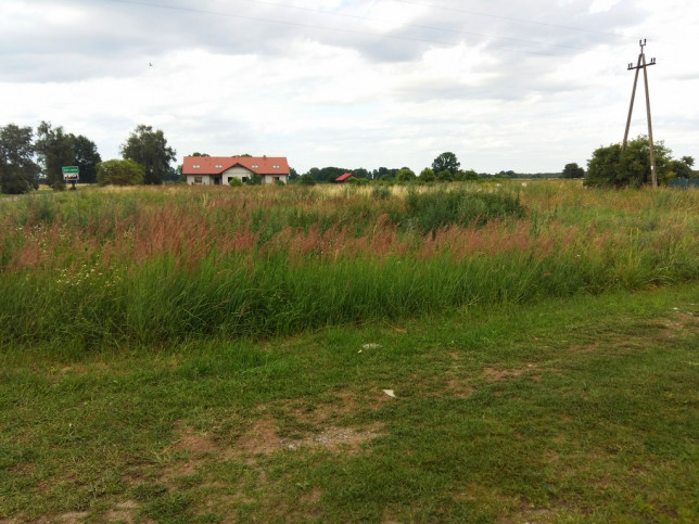 Działka Sprzedaż Czarnocin 2