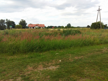 Działka Sprzedaż Czarnocin