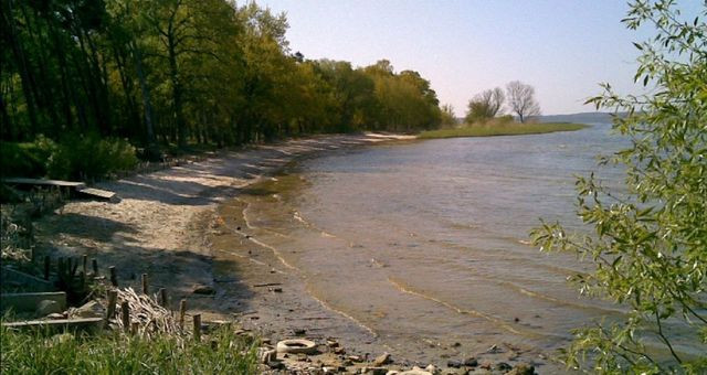 Działka Sprzedaż Czarnocin 11