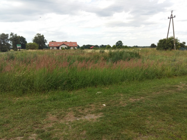 Działka Sprzedaż Czarnocin 1