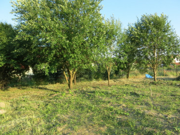 Działka Sprzedaż Szczecin Warszewo Urlopowa