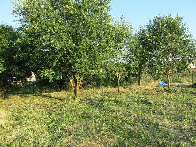 Działka Sprzedaż Szczecin Warszewo Urlopowa 5