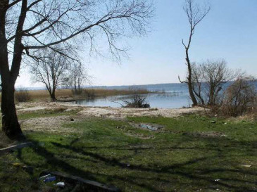 Działka Sprzedaż Czarna Łąka