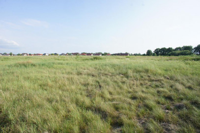 Działka Sprzedaż Czarna Łąka