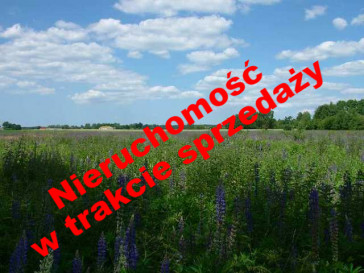 Działka Sprzedaż Białuń