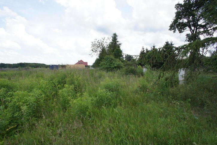 Działka Sprzedaż Białuń 7