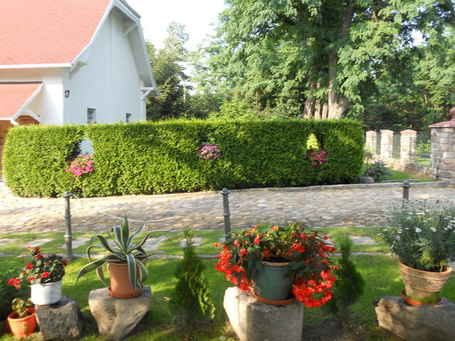 Dom Sprzedaż Krzywice 32