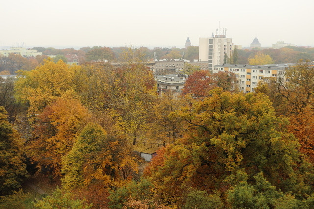 Mieszkanie Wynajem Szczecin Śródmieście Odzieżowa 6