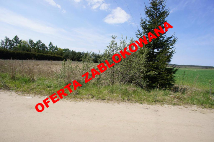 Działka Sprzedaż Kołczewo 1