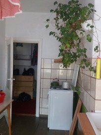 Mieszkanie Sprzedaż Choszczno Wolności