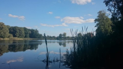 Działka Sprzedaż Radzanek