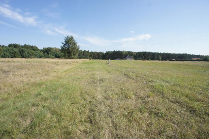 Działka Sprzedaż Rurzyca Żytnia 6