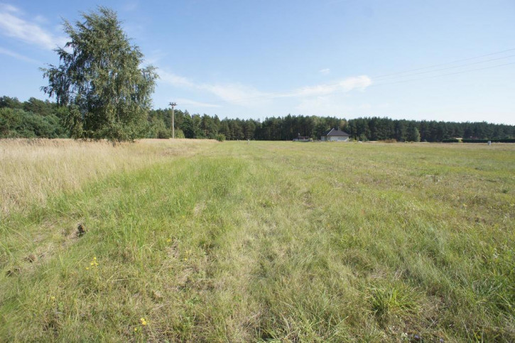 Działka Sprzedaż Rurzyca Żytnia 7