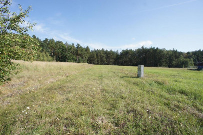 Działka Sprzedaż Rurzyca Żytnia
