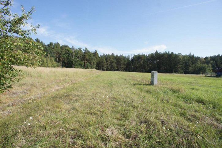 Działka Sprzedaż Rurzyca Żytnia 12
