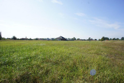 Działka Sprzedaż Rurzyca Żytnia