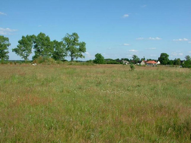 Działka Sprzedaż Dzisna 9