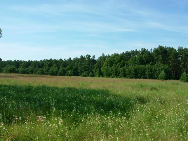 Działka Sprzedaż Dzisna 12