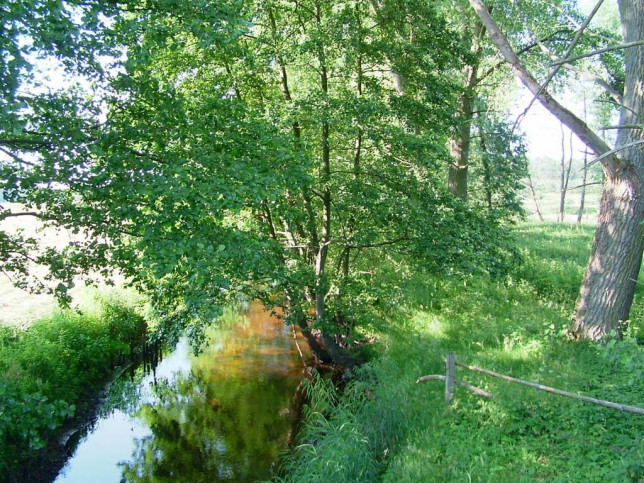 Działka Sprzedaż Dzisna 13
