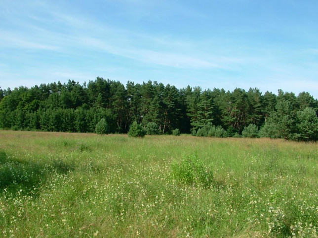 Działka Sprzedaż Dzisna 10