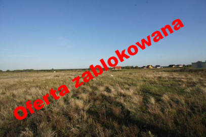 Działka Sprzedaż Czarna Łąka